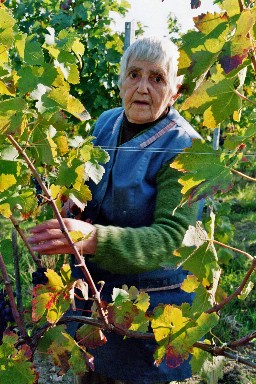 La Centenaire - Weisswein-Cuvée
